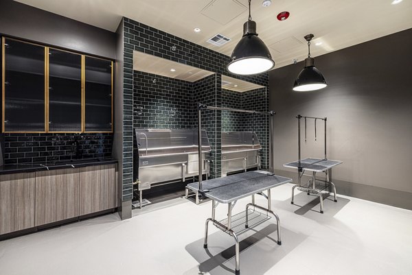 Convenient dog wash station at Hollywood Park Apartments, perfect for pet owners in Greystar's luxurious community