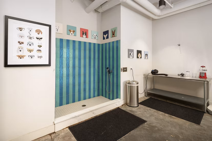 dog care center at Annett Apartments