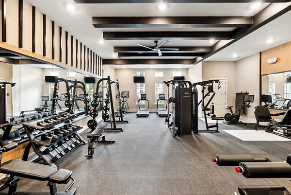 Modern fitness center with state-of-the-art equipment at Riverchase Vista Apartments