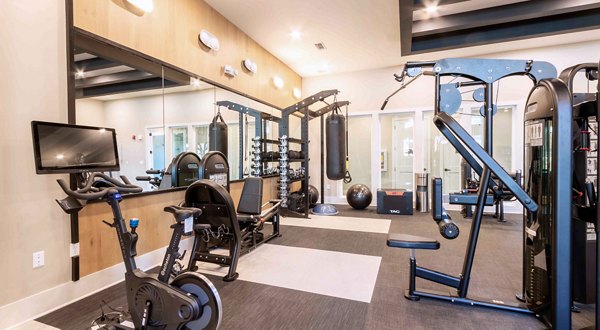 fitness center at Riverchase Vista Apartments