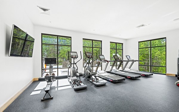 Well-equipped fitness center with modern gym facilities at The Marek South Apartments, perfect for an active lifestyle