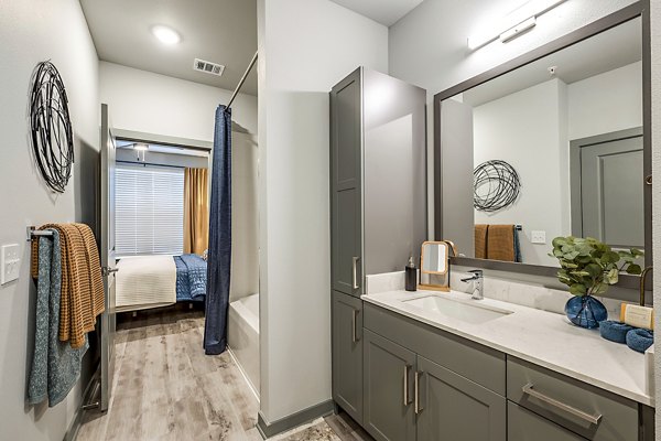 Bathroom featuring modern fixtures and spacious layout at The Aston at Town Center Apartments