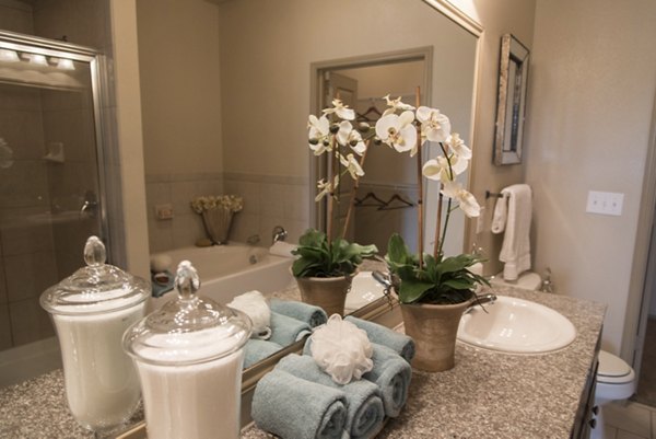 Modern bathroom with elegant fixtures at Palms at Cinco Ranch luxury apartments