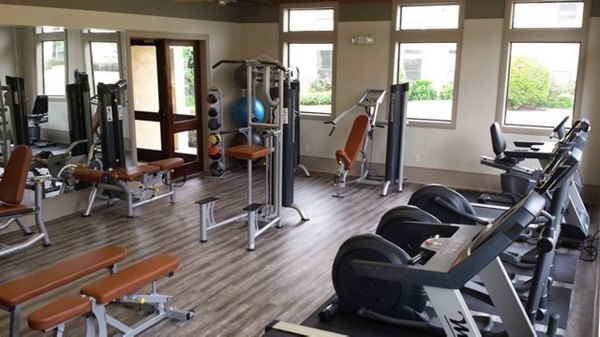 State-of-the-art fitness center at Palms at Cinco Ranch Apartments with modern equipment for active lifestyles
