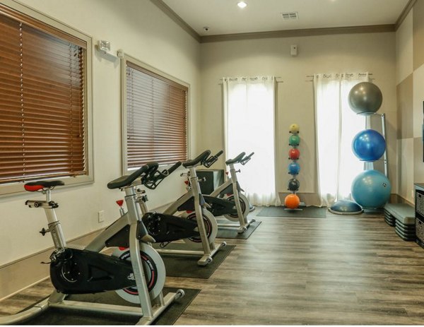 State-of-the-art fitness center with modern equipment at Palms at Cinco Ranch Apartments