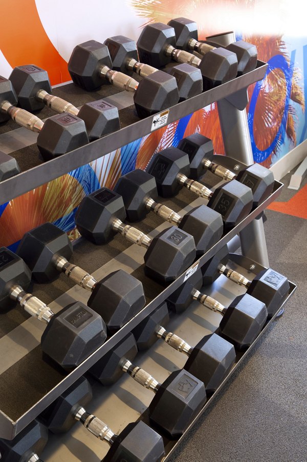 State-of-the-art fitness center with modern equipment at The Julia Apartments, a Greystar luxury community