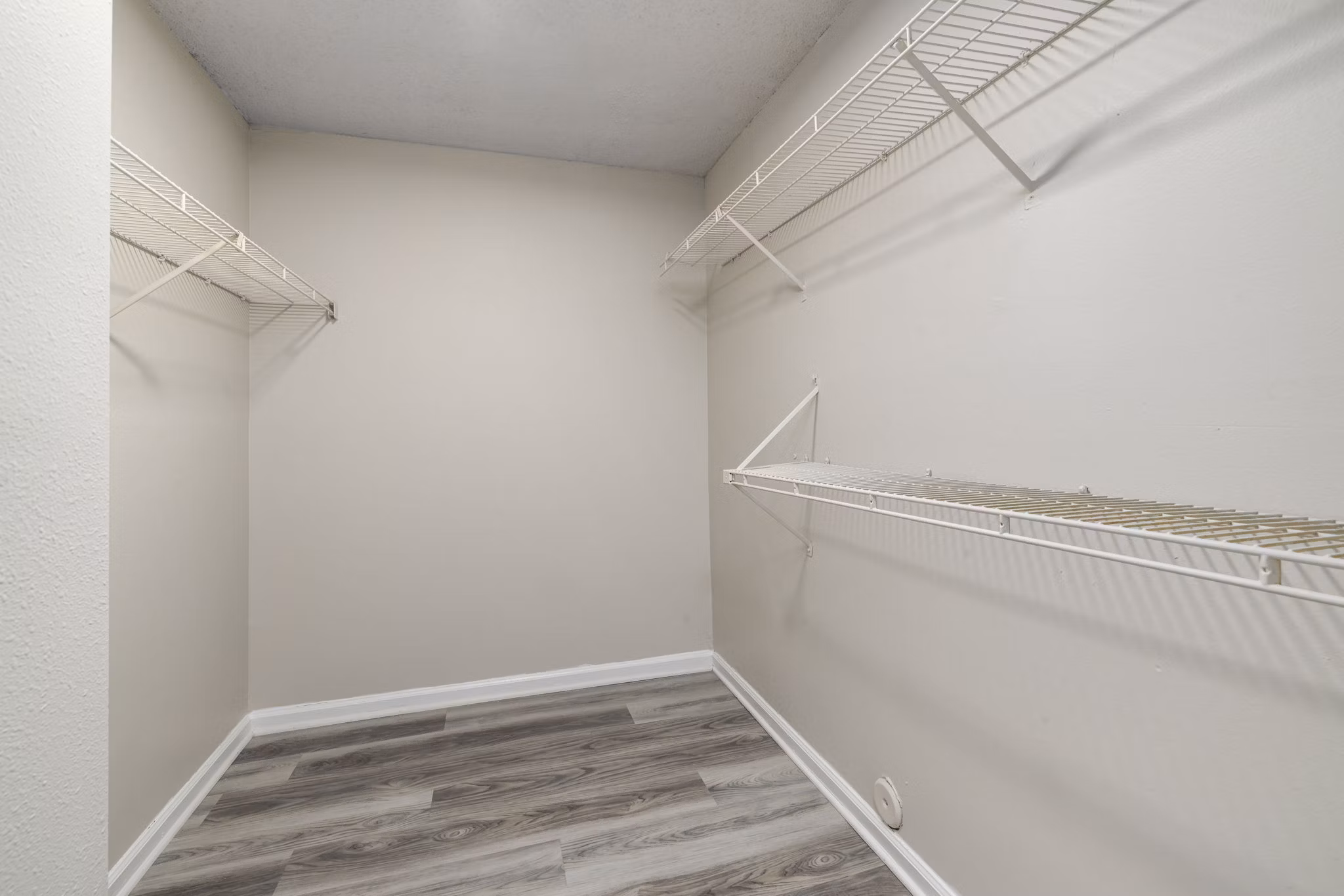 Organized walk-in closet with ample shelving in Madison at Adams Farm Apartments