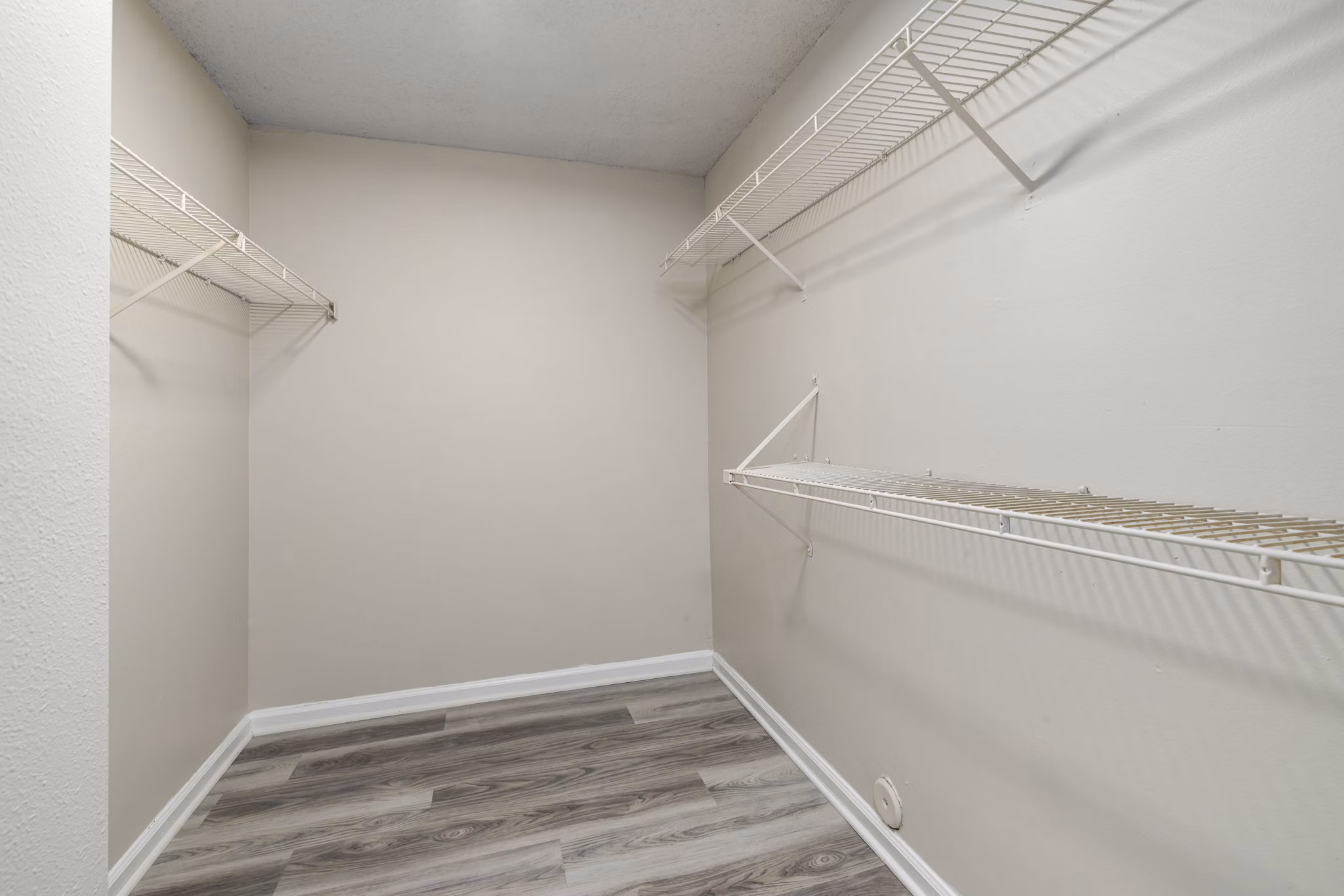 Organized walk-in closet with ample shelving in Madison at Adams Farm Apartments