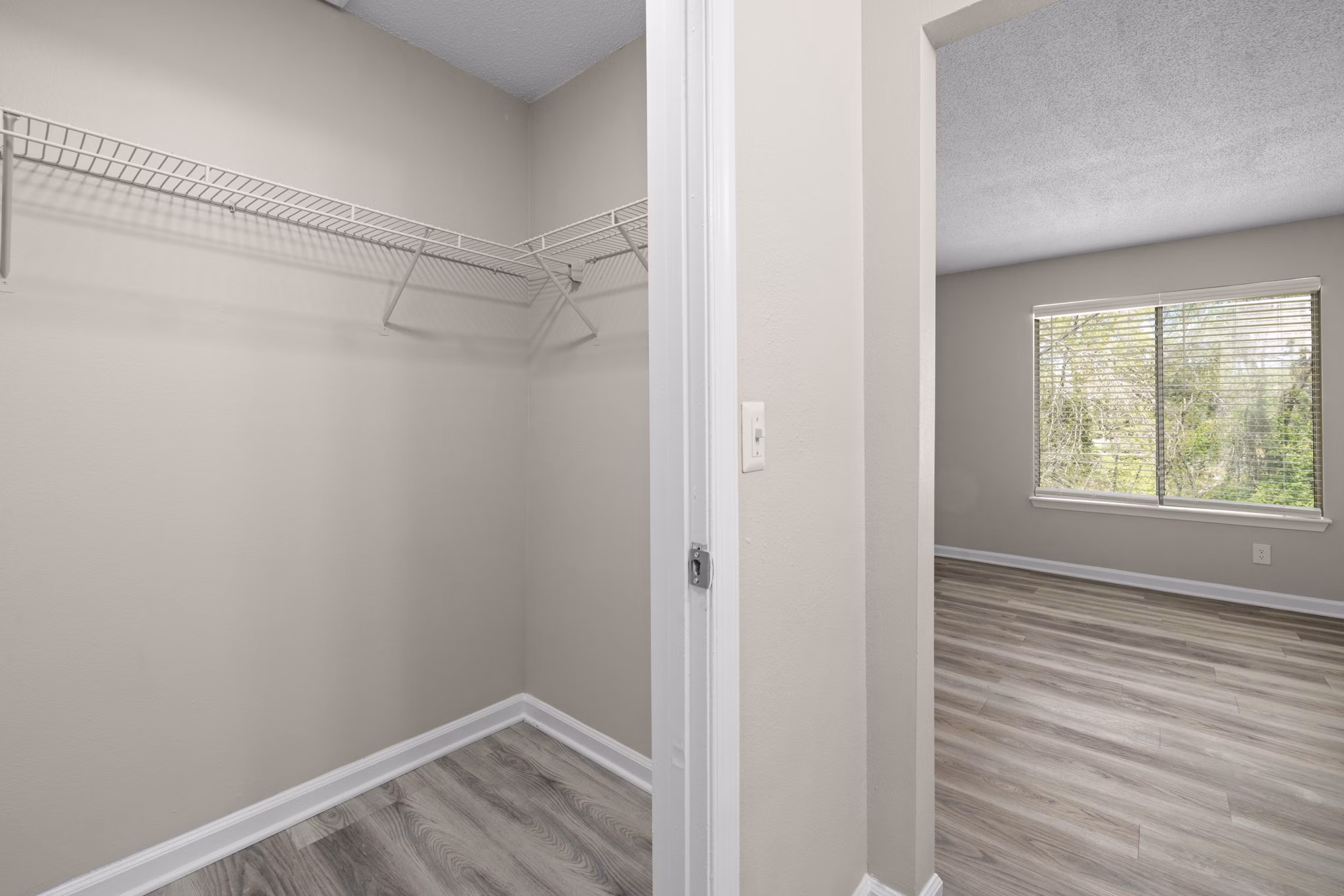 Walk-in closet with ample shelving in Madison at Adams Farm Apartments