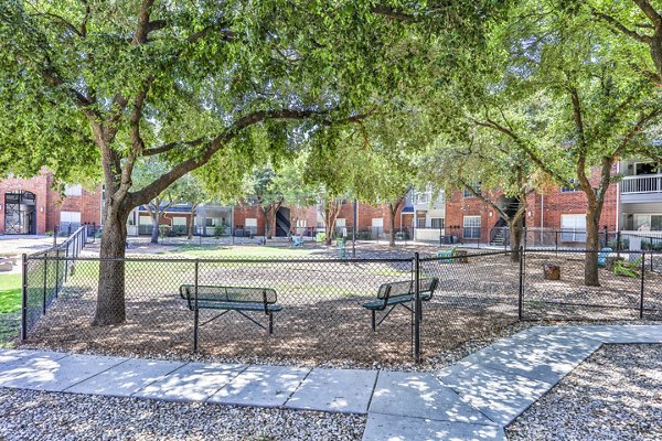 Spacious dog park featuring agility equipment at The Quarry Alamo Heights Apartments