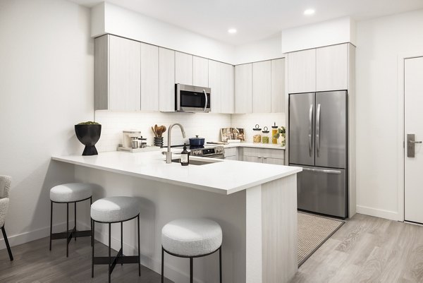 Modern kitchen with stainless steel appliances at Forge Apartments, a luxury living community