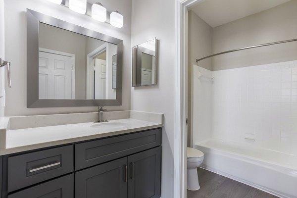 bathroom at Ashton Brook Apartments