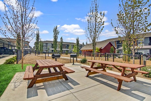 Grill area patio at Seasons at Farmington Reserve Apartments offering outdoor cooking and dining options
