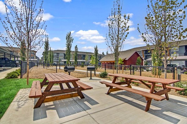 grill area/patio at Seasons at Farmington Reserve Apartments