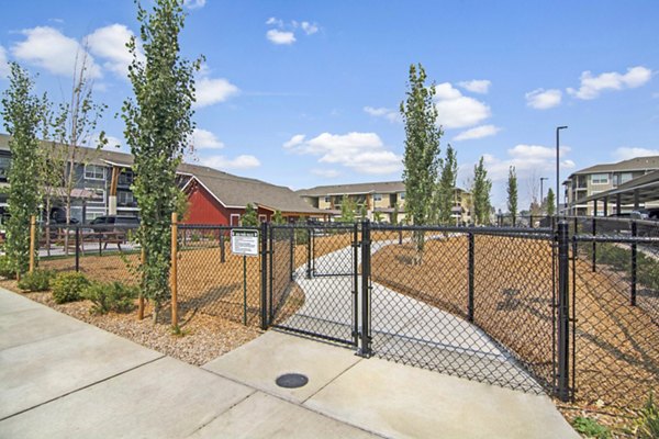 Seasons at Farmington Reserve: Lush dog park with agility equipment, offering a pet-friendly community experience for residents
