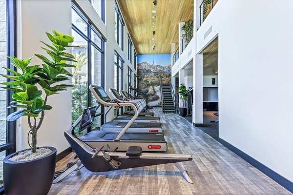 Well-equipped fitness center at Jefferson La Mesa Apartments with modern exercise equipment