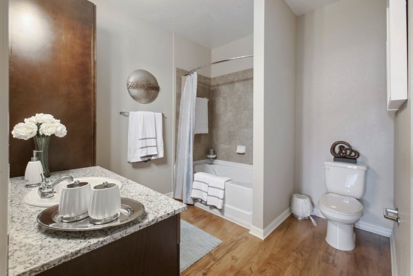 Luxurious bathroom featuring a modern sink, countertop decor, and bathtub with shower curtain in luxury apartment