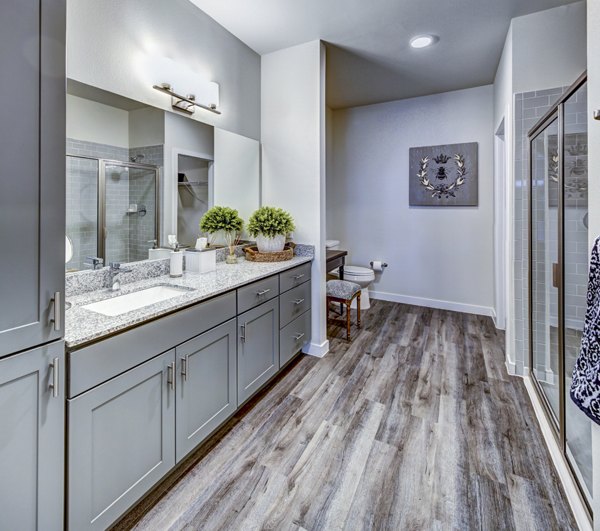 Luxurious bathroom with marble countertops and modern fixtures at NorthStar Georgetown Apartments