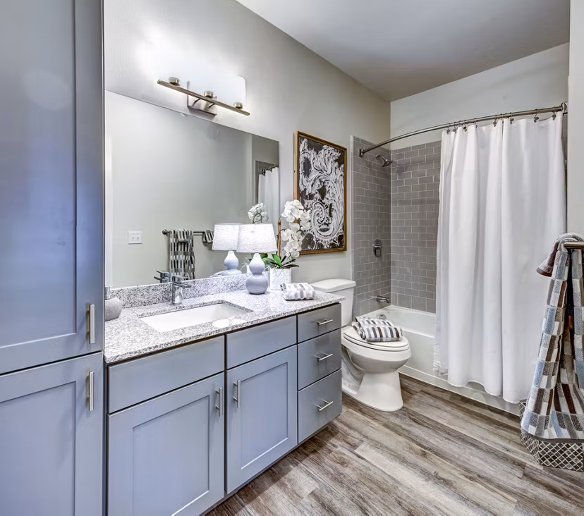 Luxury bathroom with modern fixtures at NorthStar Georgetown Apartments