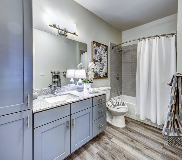 Luxury bathroom with modern fixtures at NorthStar Georgetown Apartments