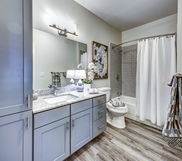 bathroom at NorthStar Georgetown Apartments