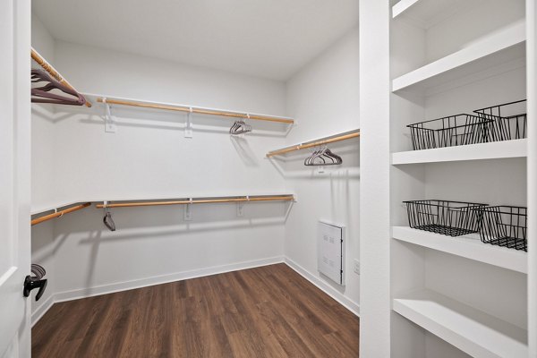 Walk-in closet with ample storage in Silos Harvest Green Apartments, ideal for organizing luxury wardrobe and personal items