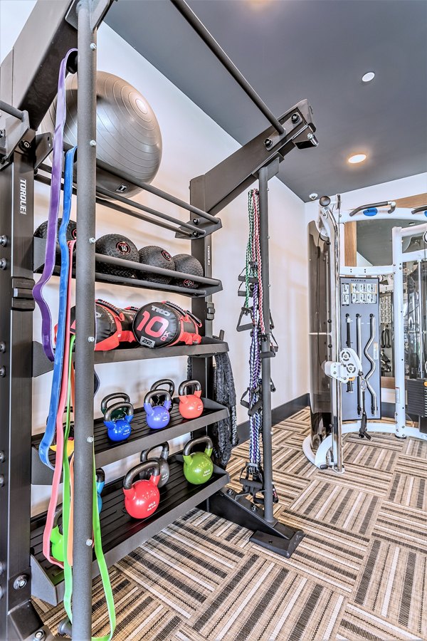 Modern fitness center with state-of-the-art equipment at Birchway Rivergate Apartments