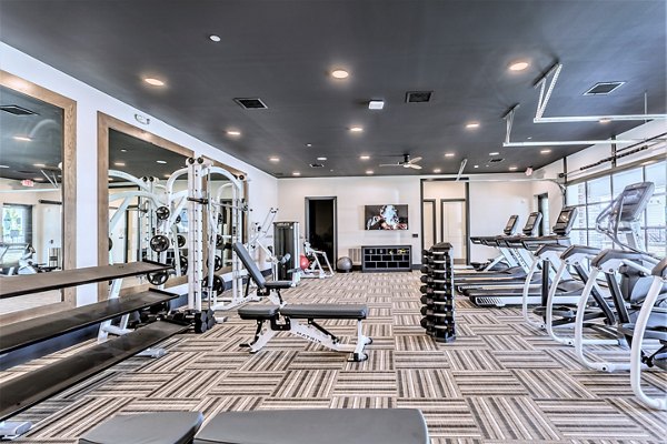 State-of-the-art fitness center with modern equipment at Birchway Rivergate Apartments