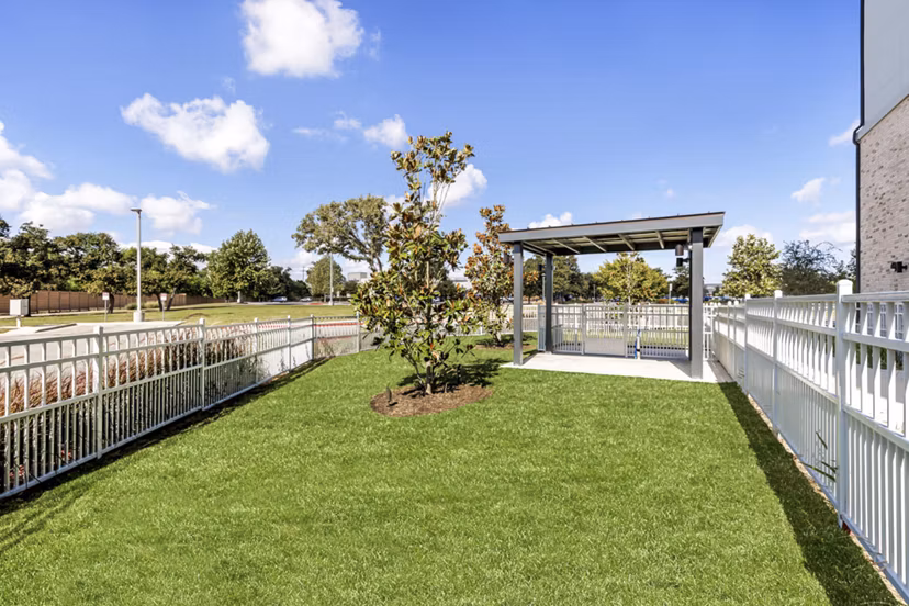 dog park at Vera Cedar Park Apartments