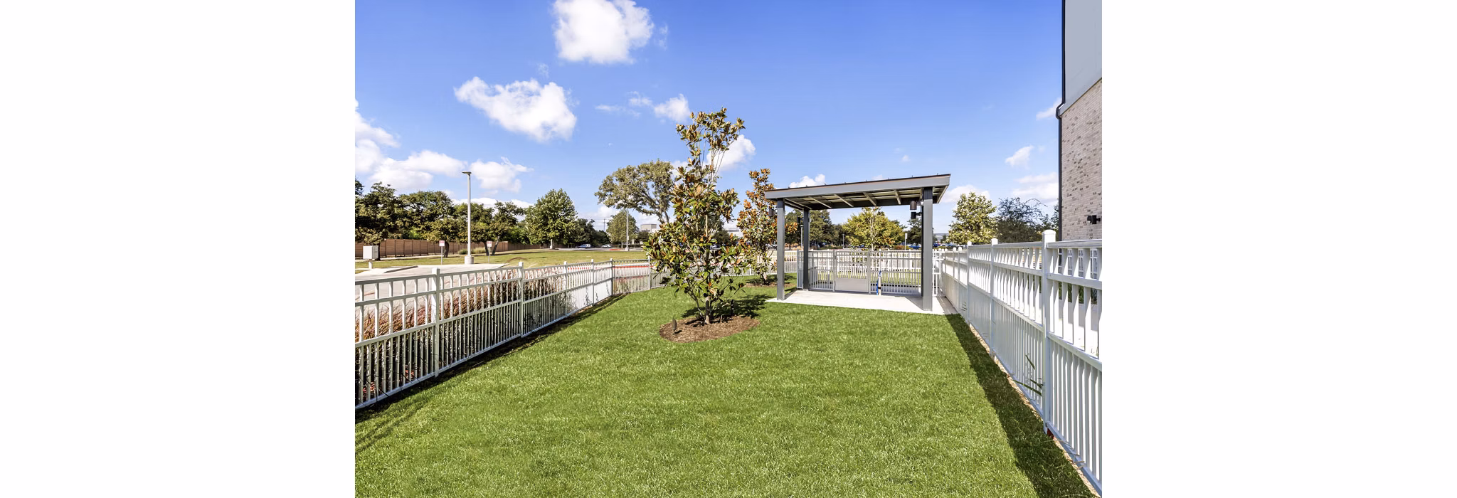dog park at Vera Cedar Park Apartments