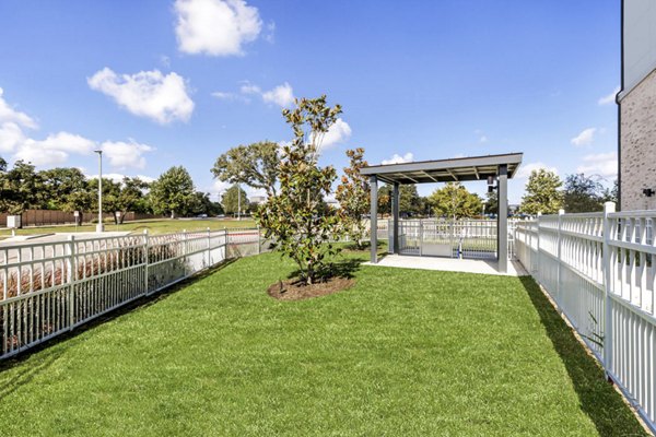 dog park at Vera Cedar Park Apartments