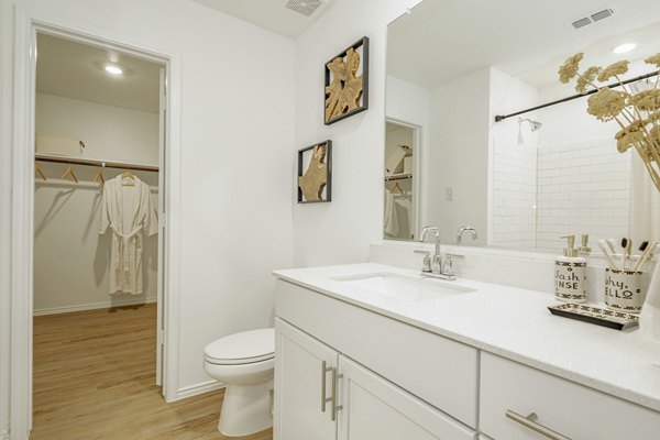 Luxury bathroom with modern fixtures at Summerwell Wildcat Ranch Homes Apartments
