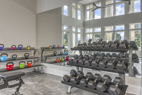 State-of-the-art fitness center with modern equipment at The Mason at Six Mile Creek Apartments