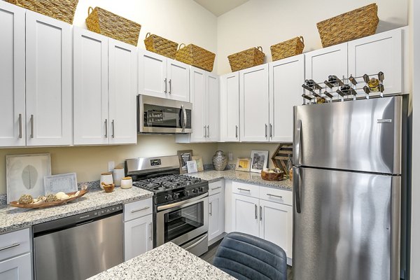 Kitchen featuring sleek appliances and elegant countertops in Harbor Landing Apartments