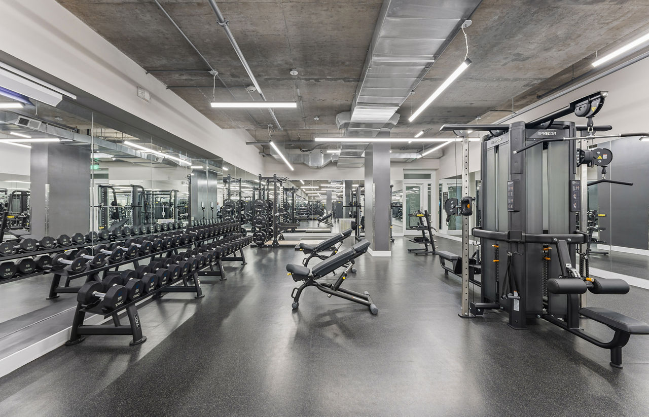 Gym at 75 Tresser (3 of 5)