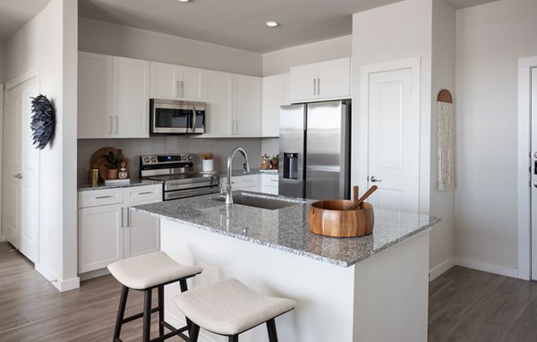 kitchen at Prose Solaire Apartments