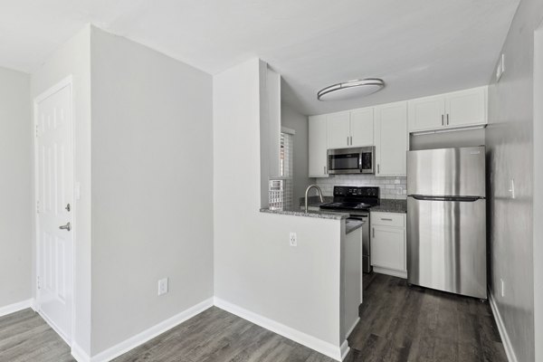 Modern kitchen with stainless steel appliances at Luna Pointe Apartments
