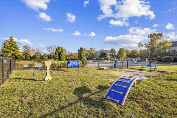 dog park at Trail Creek Apartments