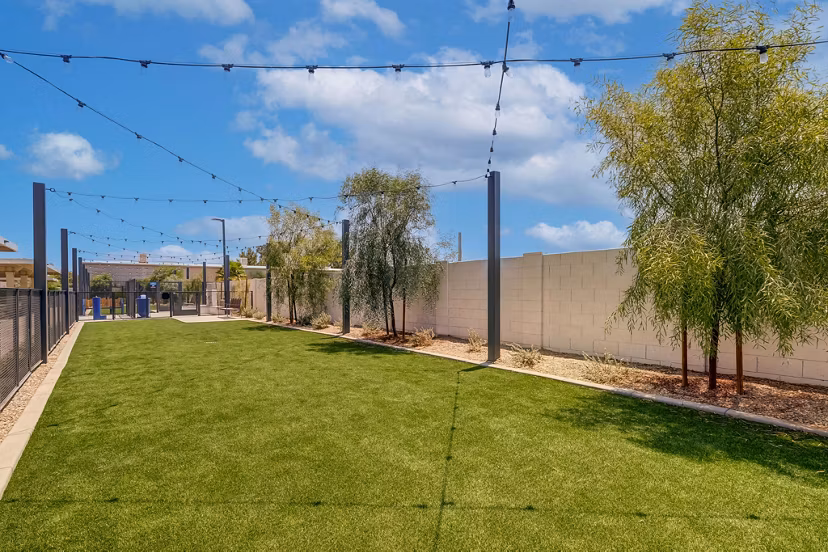 Spacious dog park for resident enjoyment at Encore Novo Apartments, offering a pet-friendly community experience