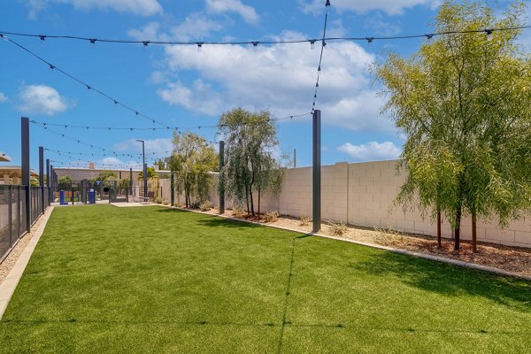 Spacious dog park for resident enjoyment at Encore Novo Apartments, offering a pet-friendly community experience