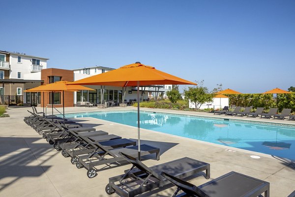 Resort-style pool surrounded by palm trees at Suncrest at Ponte Vista Apartments