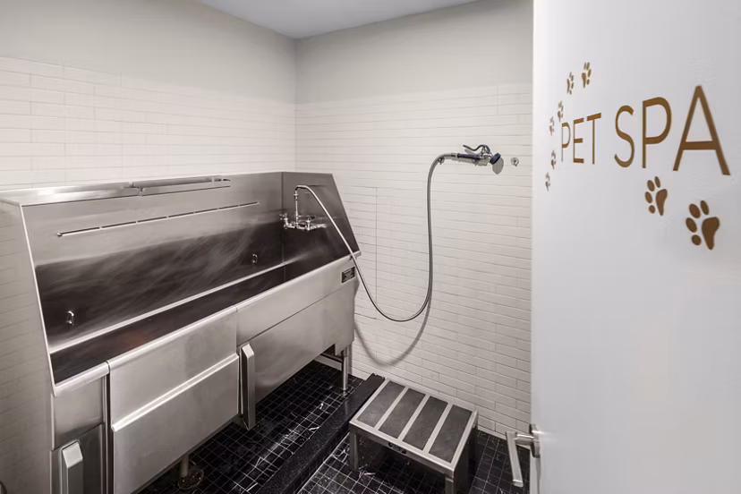 Convenient dog wash station at Oriana Apartments for luxury pet care