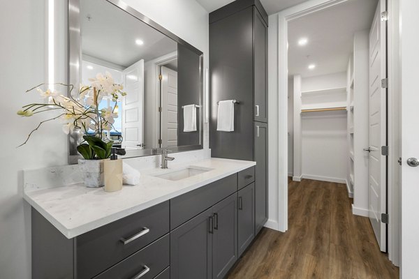Modern bathroom with spacious closet in Willamette Tower Apartments