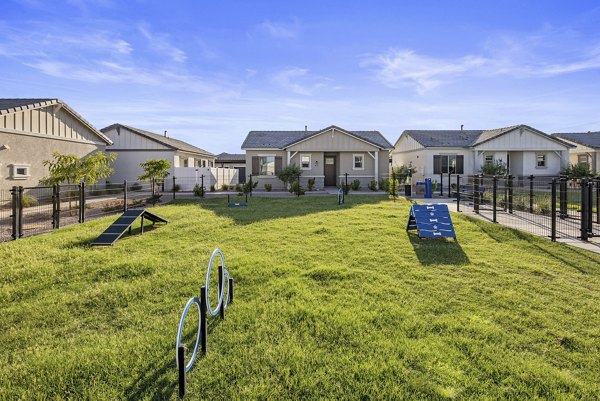 Expansive dog park with agility course at Yardly Paradisi Homes