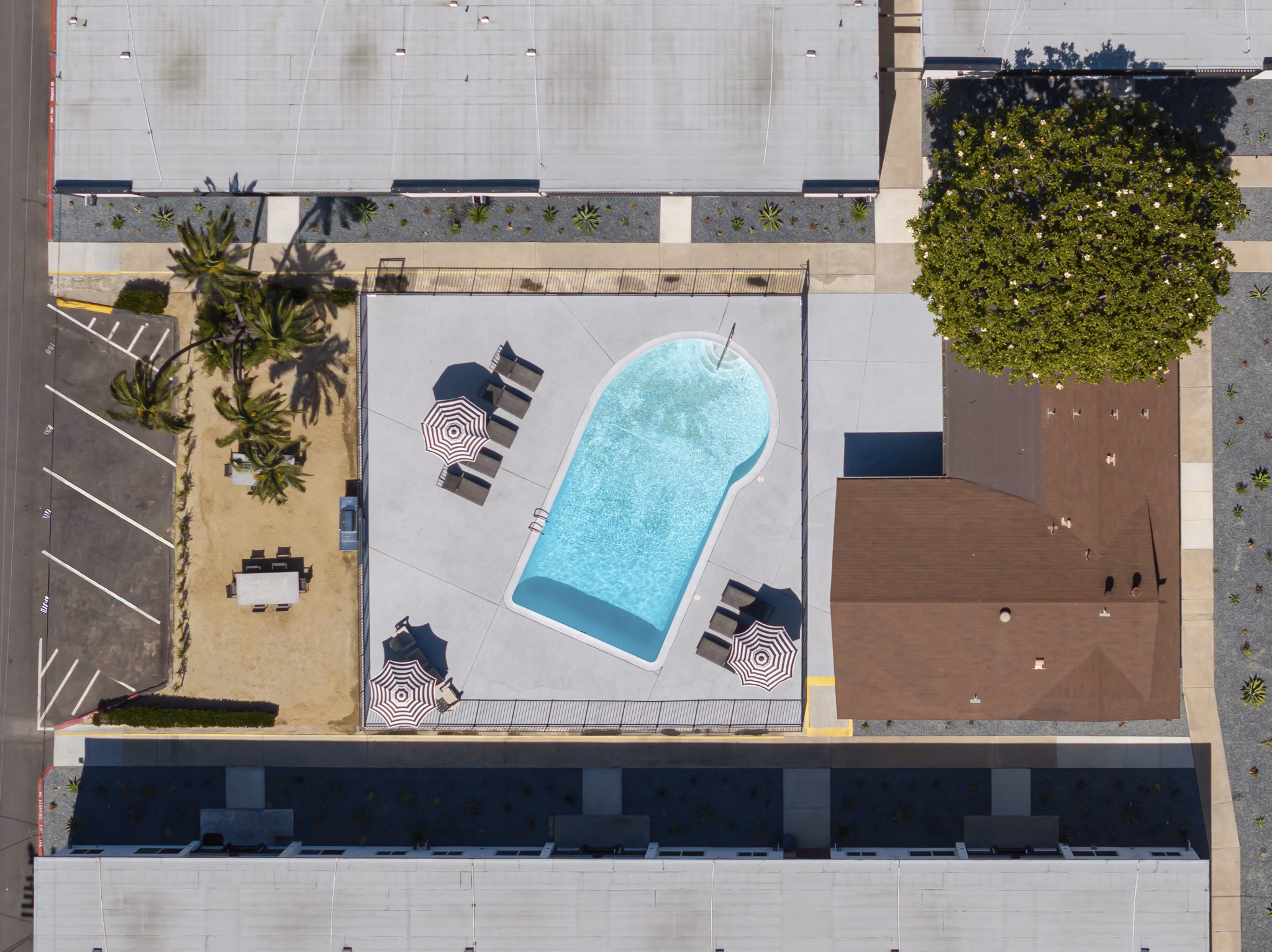 Pool at Palmera Apartments