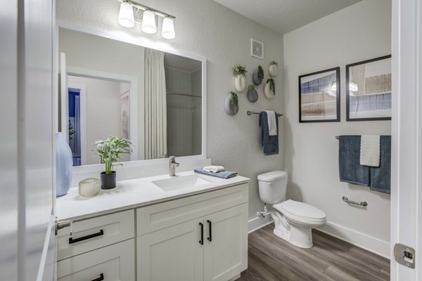 bathroom at Alton Serenoa Apartments