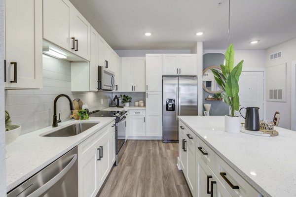 Modern kitchen with sleek cabinetry and stainless steel appliances in Alton Serenoa Apartments