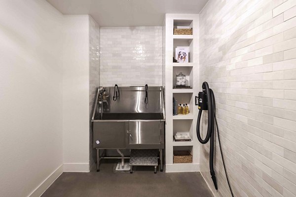 Modern dog wash station at The Grayson Apartments, offering convenient pet care for residents