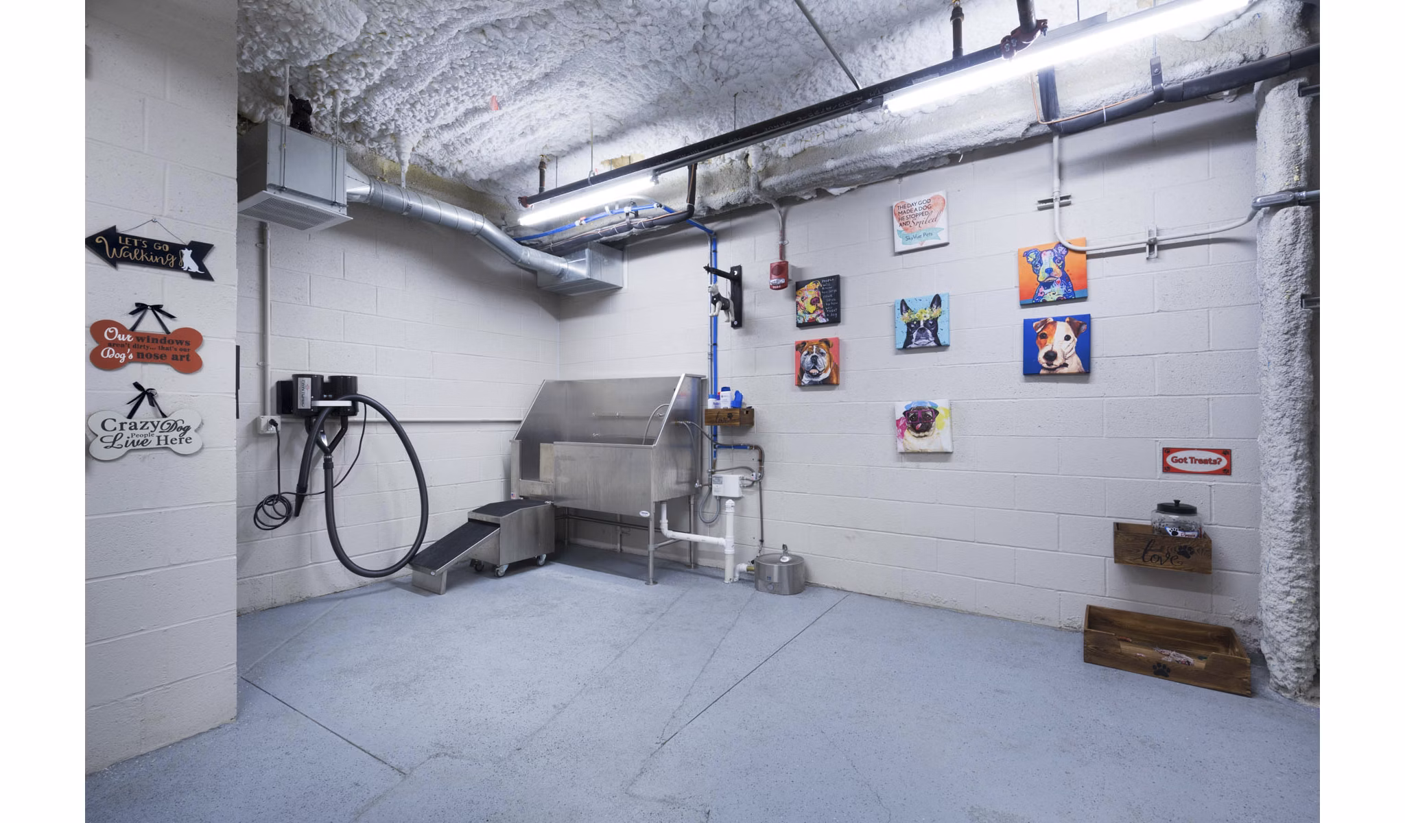 dog wash station at SkyVue Apartments