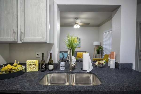 kitchen at Lakeside at La Frontera Apartments